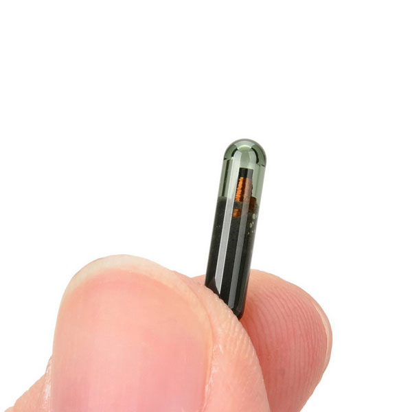 “tyc7111cc太阳成集团”2015年大红酸枝市场惨不忍睹今年将迎来投资机会(图1) 太阳成tyc7111cc官网