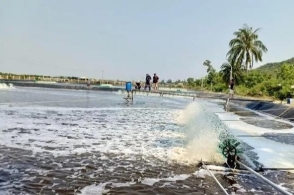 太阳成tyc7111cc|儿谷紫藤幼儿园加盟机构介绍(图1) tyc7111cc太阳成集团