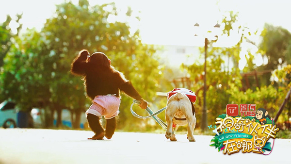 在职研究生毕业后就业前景:太阳成tyc7111cc(图1) 太阳成tyc7111cc