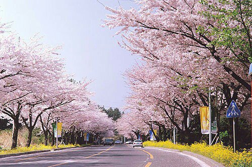 tyc7111cc太阳成集团