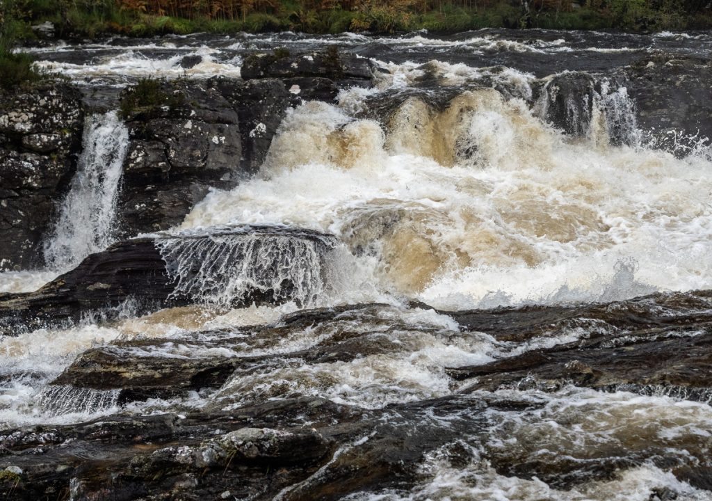 买1得13!可能是“全网最划算会员服务”开抢-太阳成tyc7111cc官网(图4) 太阳成tyc7111cc