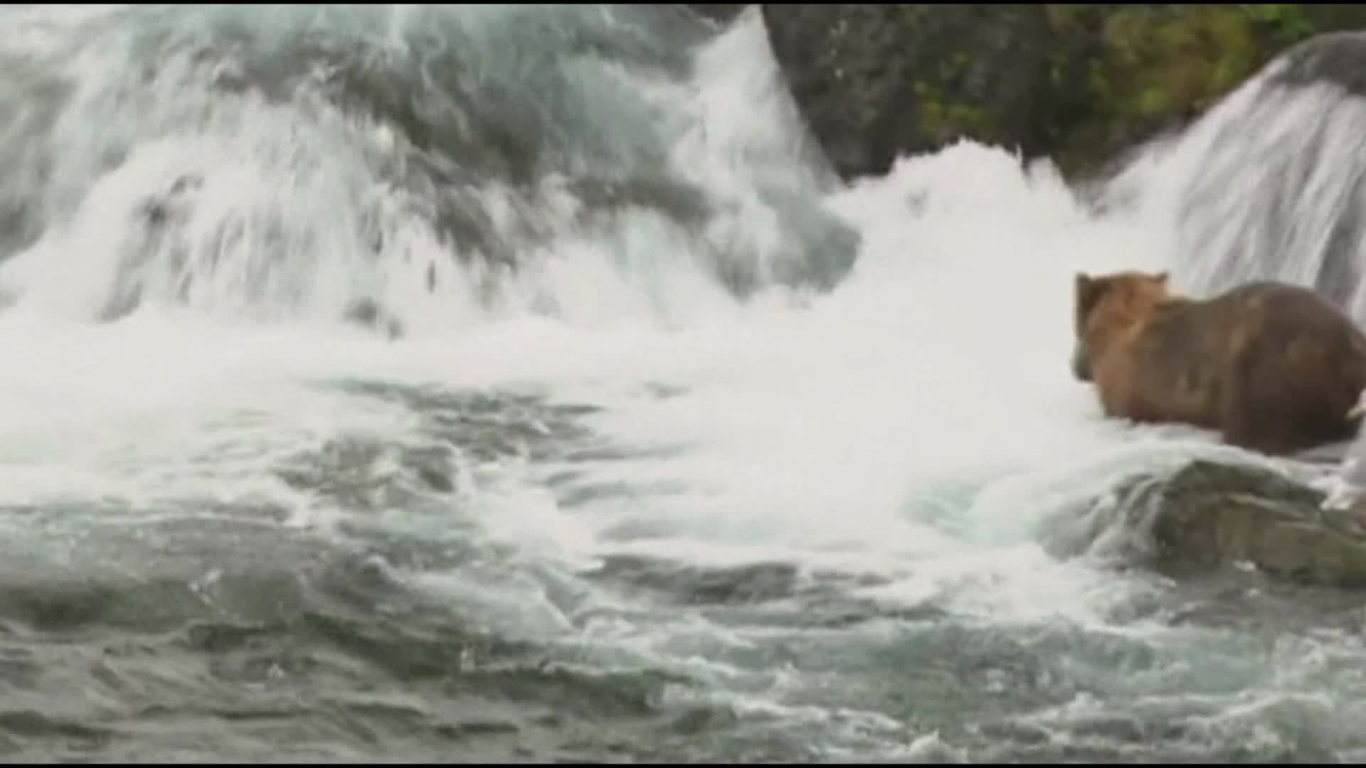 太阳成tyc7111cc官网_吴秀波遭女演员控诉 地下恋7年被抛弃,男方还有其他情人(图2) 太阳成tyc7111cc官网