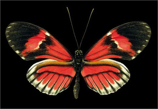 太阳成tyc7111cc官网