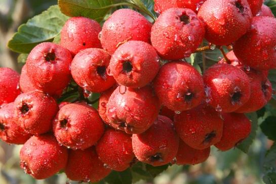 tyc7111cc太阳成集团