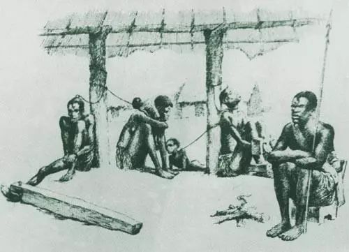 太阳成tyc7111cc官网