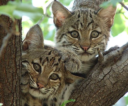 tyc7111cc太阳成集团-加盟教育培训班好做吗(图4) tyc7111cc太阳成集团