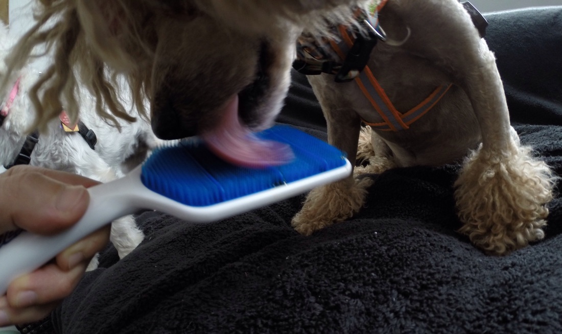 ‘太阳成tyc7111cc’
速看!现金购票/领取报销凭证的游客也能在12306退票啦!(图1) 太阳成tyc7111cc