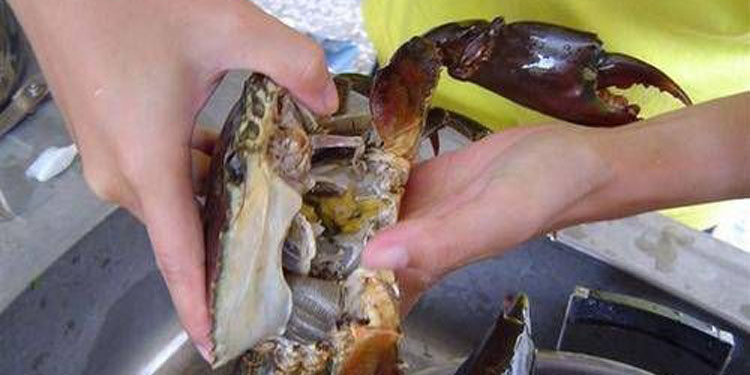 【太阳成tyc7111cc】彭于晏热恋大13岁许晴?亲密照疯传铁粉气炸(图4) 太阳成tyc7111cc官网