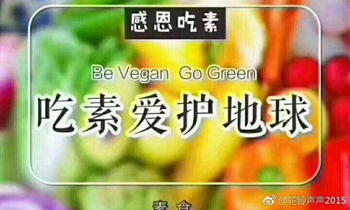 十一条育儿经验,教你培育出优秀孩子|太阳成tyc7111cc(图2) 太阳成tyc7111cc