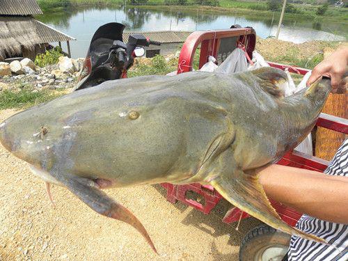 海底捞大堂司理业务技术培训资料‘太阳成tyc7111cc’(图2) 太阳成tyc7111cc