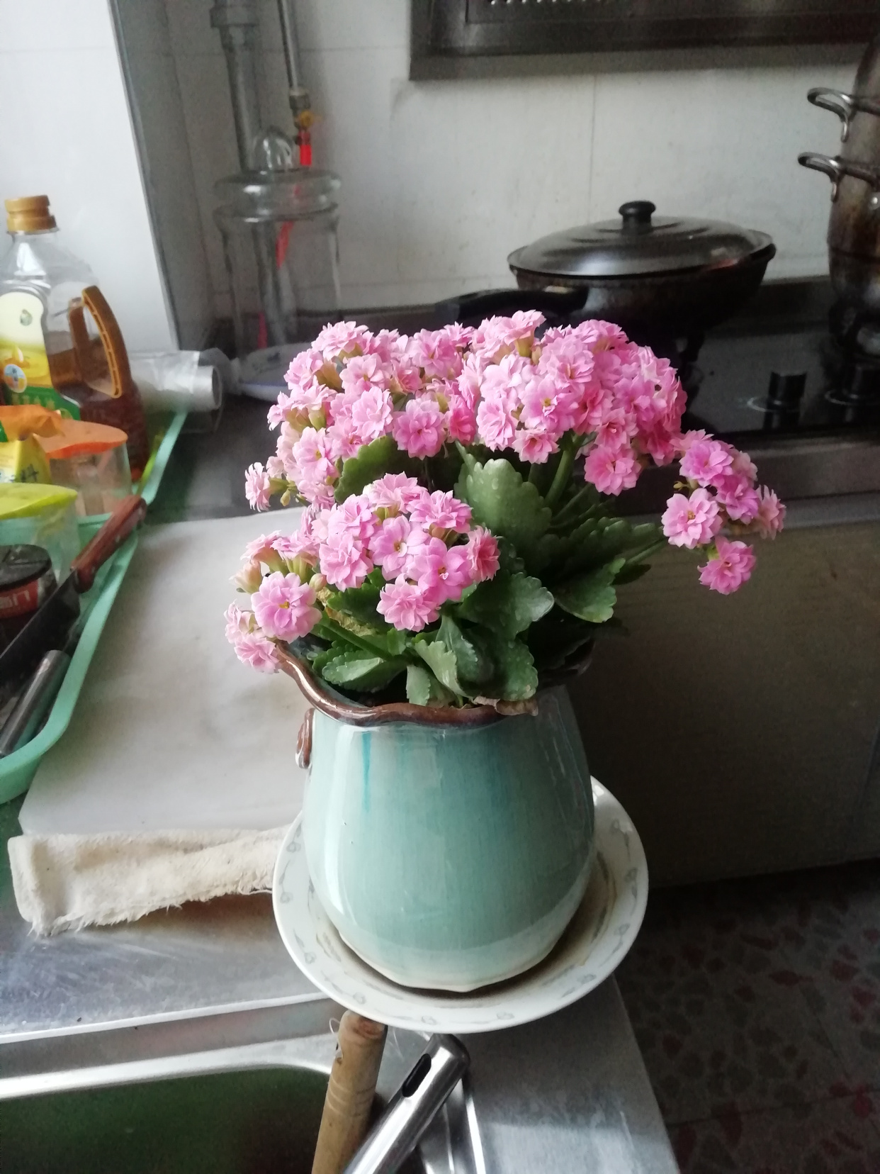 备考在职研究生用不用报个班?‘太阳成tyc7111cc’(图1) 太阳成tyc7111cc