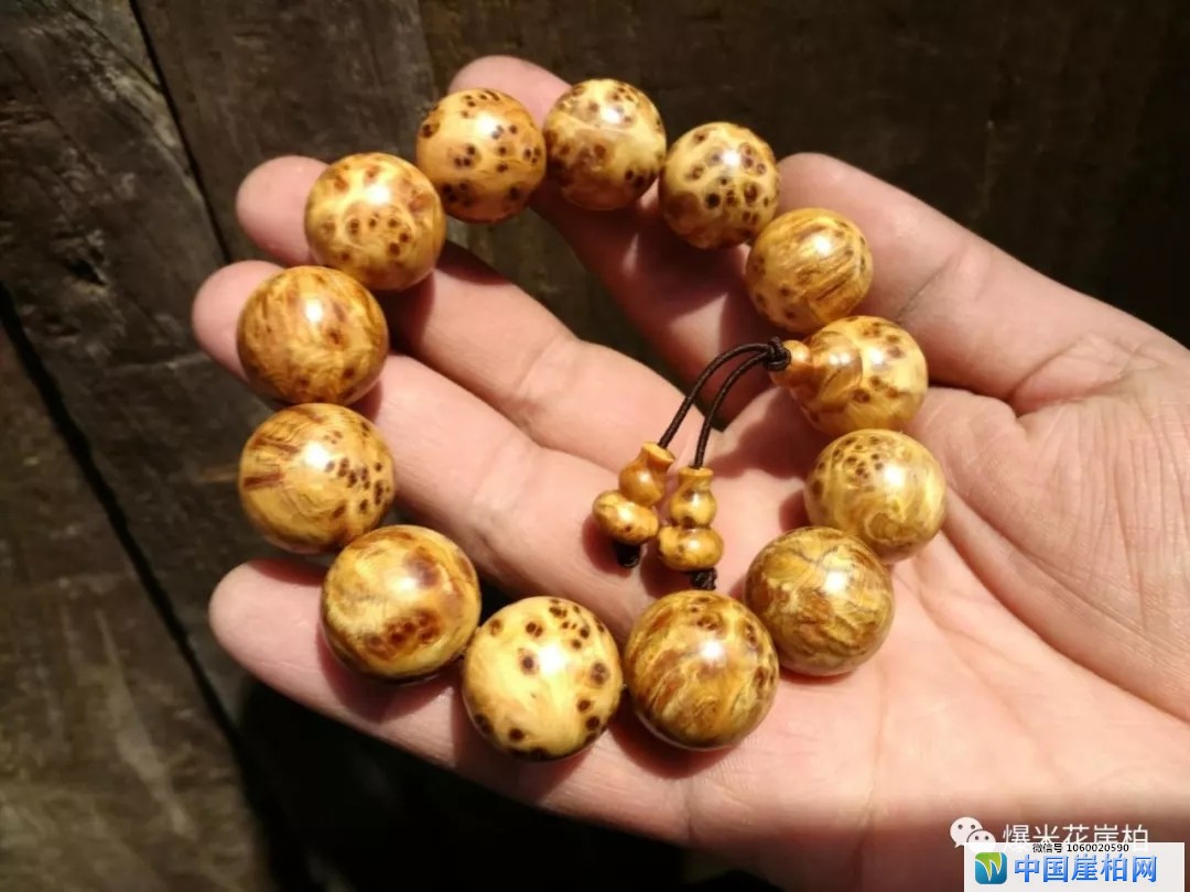 tyc7111cc太阳成集团